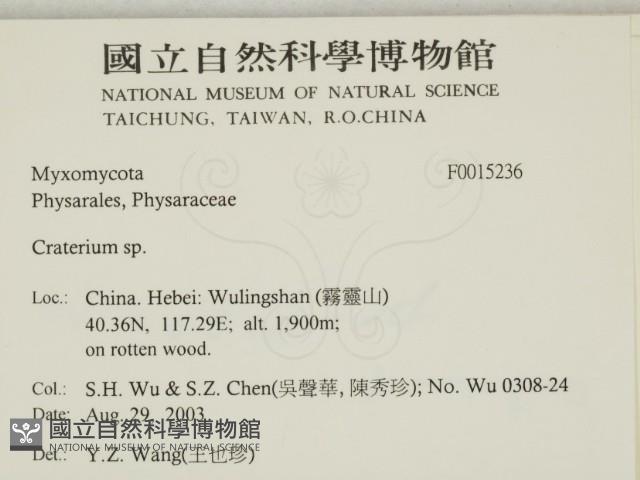 登錄號:F0015236藏品圖，第2張