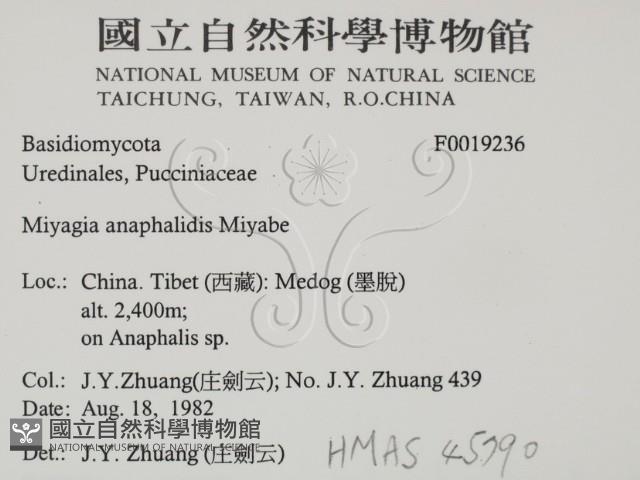 登錄號:F0019236藏品圖，第2張