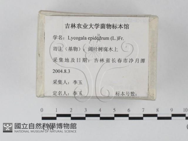 登錄號:F0023236藏品圖，第2張