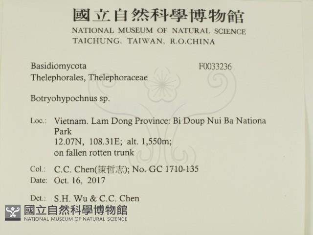 登錄號:F0033236藏品圖，第2張