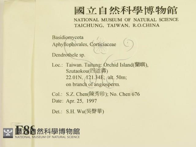 登錄號:F0008836藏品圖，第2張