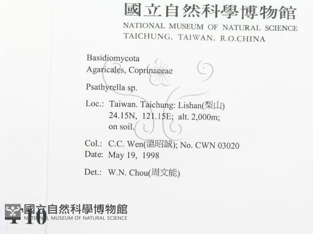登錄號:F0010836藏品圖，第2張