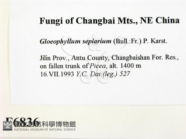 登錄號:F0006836藏品圖，第2張