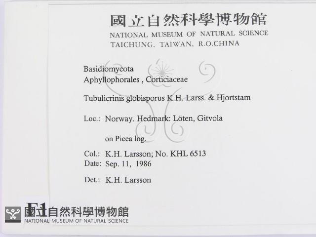 登錄號:F0016836藏品圖，第2張