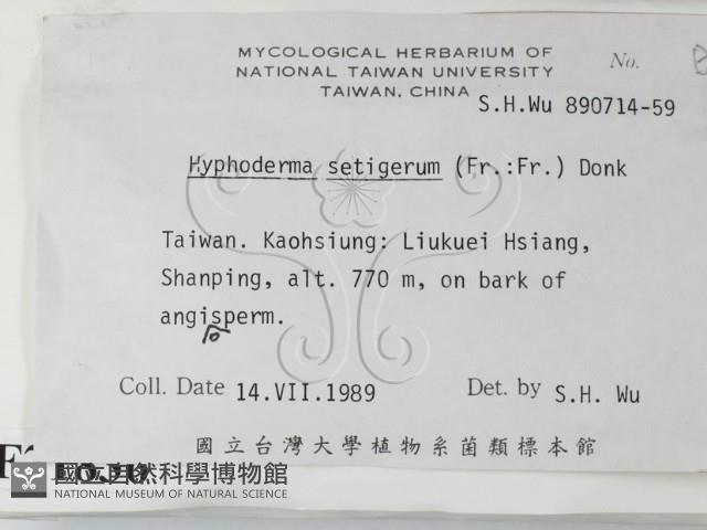 剛毛絲皮菌藏品圖，第2張