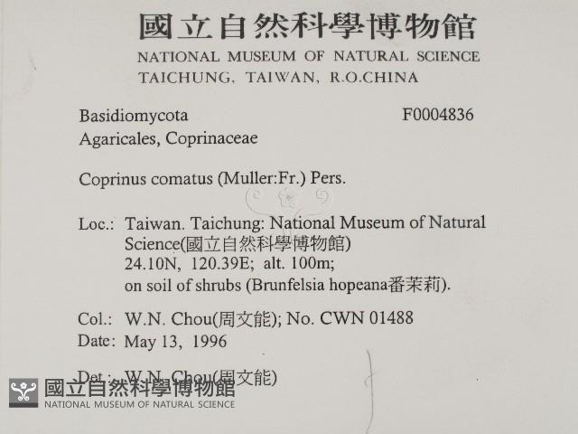 登錄號:F0004836藏品圖，第2張