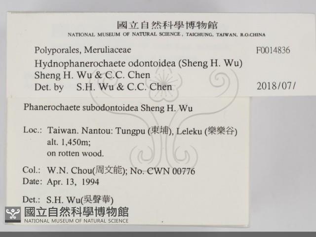 登錄號:F0014836藏品圖，第2張