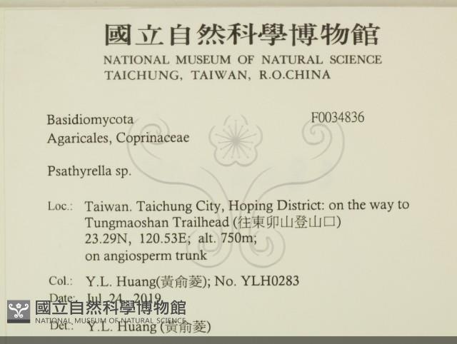 登錄號:F0034836藏品圖，第2張