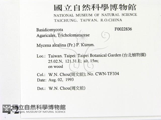 登錄號:F0022836藏品圖，第2張