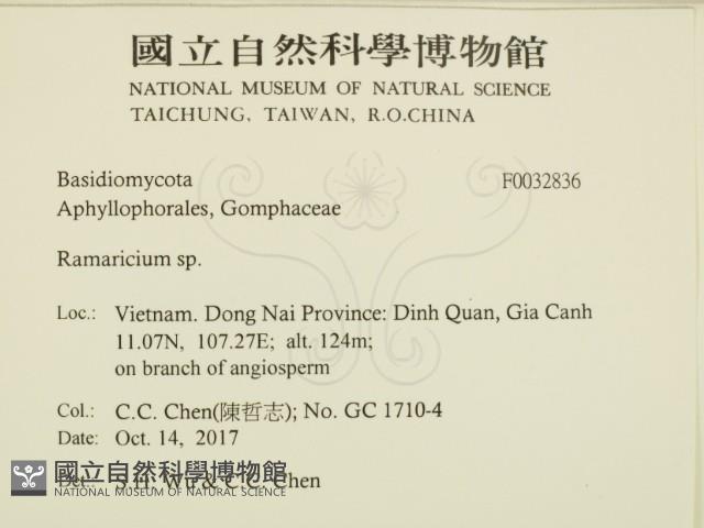 粗糙孢菌屬藏品圖，第2張