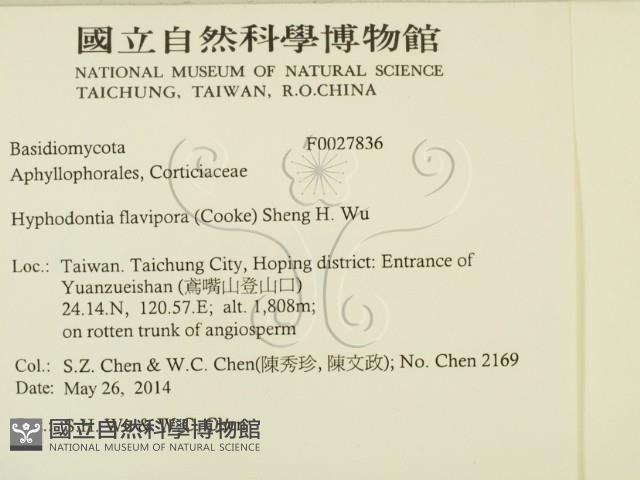 登錄號:F0027836藏品圖，第2張
