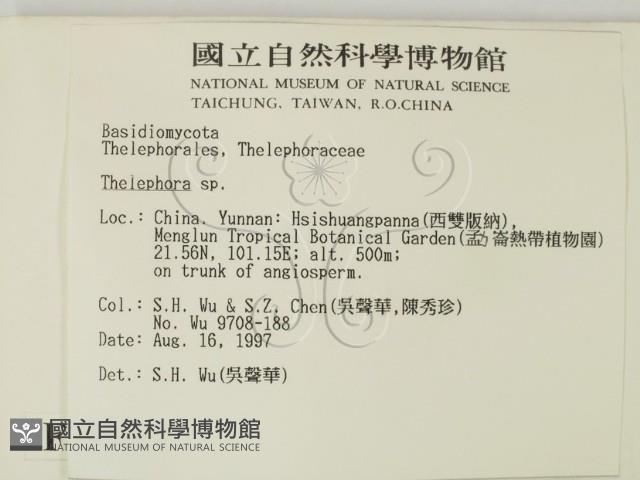 革菌屬藏品圖，第2張