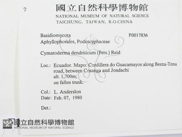 登錄號:F0017836藏品圖，第2張