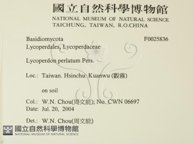 登錄號:F0025836藏品圖，第2張