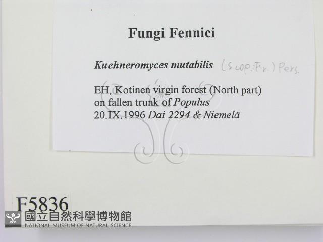 登錄號:F0005836藏品圖，第2張