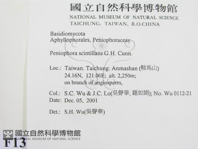 登錄號:F0013836藏品圖，第2張