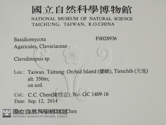 登錄號:F0028936藏品圖，第2張