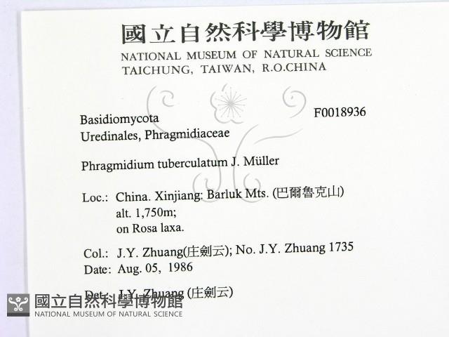 登錄號:F0018936藏品圖，第2張
