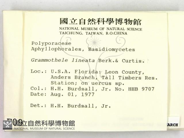 登錄號:F0000936藏品圖，第2張