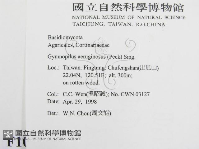 登錄號:F0010936藏品圖，第2張