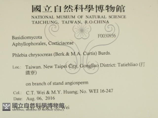 登錄號:F0030936藏品圖，第2張