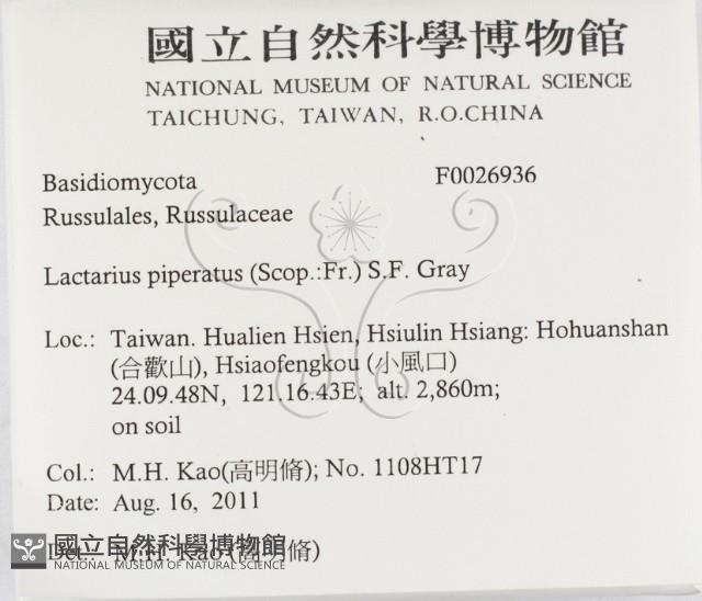 登錄號:F0026936藏品圖，第2張