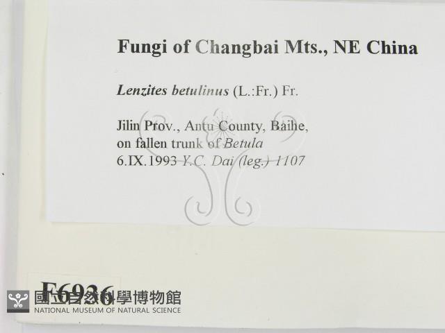 登錄號:F0006936藏品圖，第2張