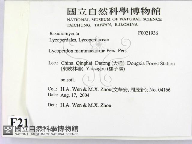 登錄號:F0021936藏品圖，第2張