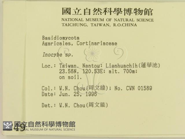 登錄號:F0004936藏品圖，第2張