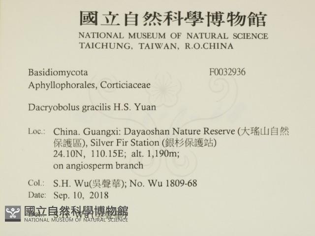 登錄號:F0032936藏品圖，第2張