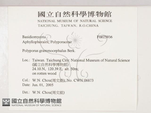 登錄號:F0025936藏品圖，第2張