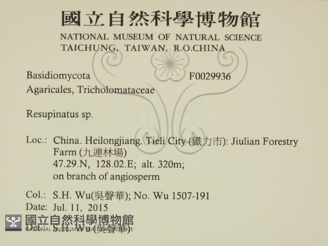 登錄號:F0029936藏品圖，第2張