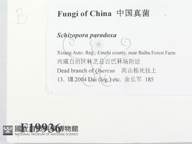 登錄號:F0019936藏品圖，第2張