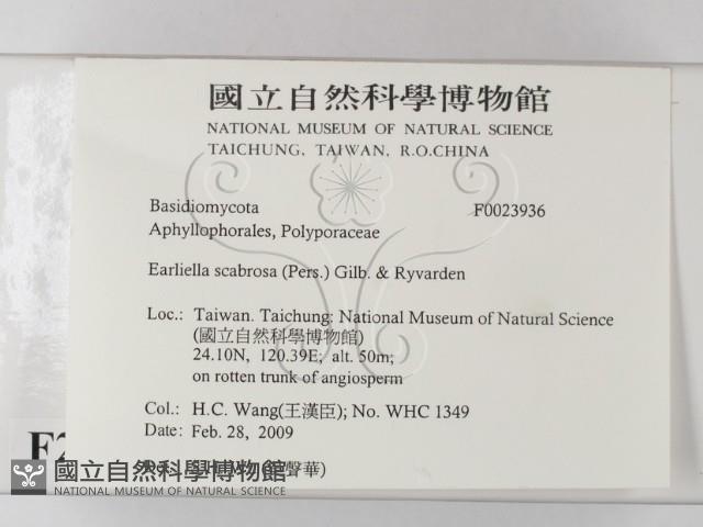 登錄號:F0023936藏品圖，第2張