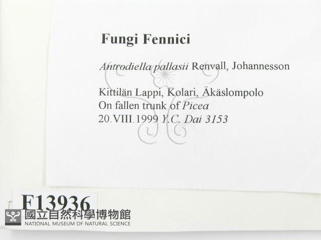 登錄號:F0013936藏品圖，第2張