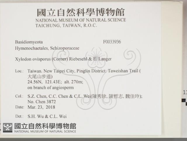 登錄號:F0033936藏品圖，第2張