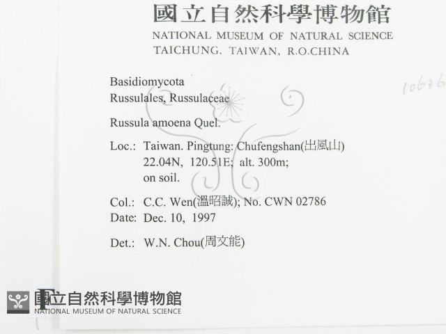 登錄號:F0010636藏品圖，第2張