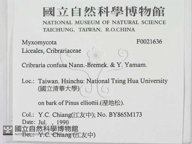 登錄號:F0021636藏品圖，第2張