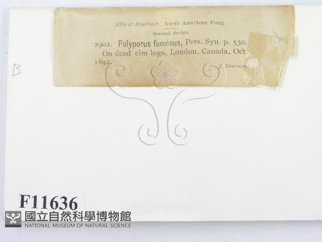 登錄號:F0011636藏品圖，第2張