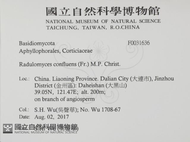 登錄號:F0031636藏品圖，第2張