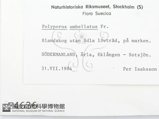 登錄號:F0004636藏品圖，第2張