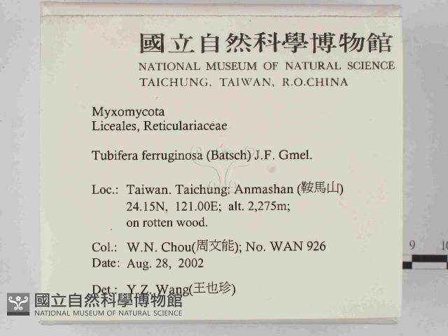 登錄號:F0014636藏品圖，第2張