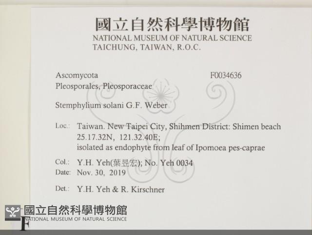 登錄號:F0034636藏品圖，第2張