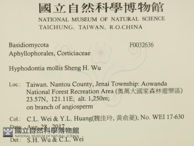 登錄號:F0032636藏品圖，第2張