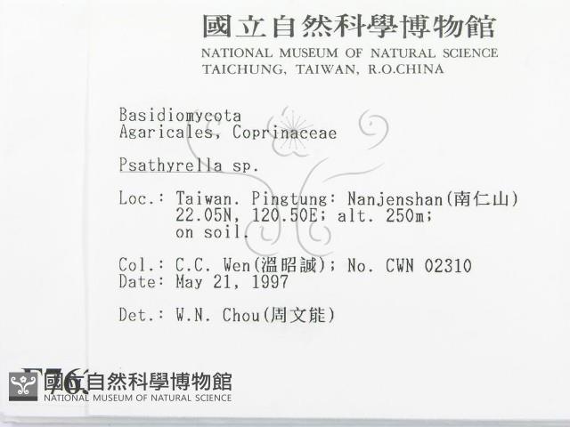 登錄號:F0007636藏品圖，第2張