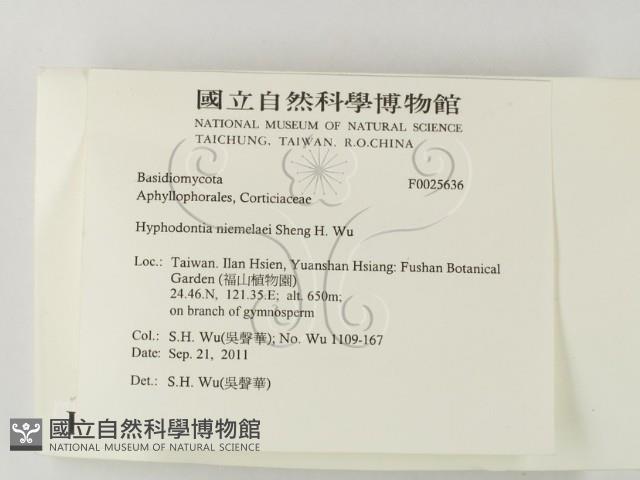 登錄號:F0025636藏品圖，第2張