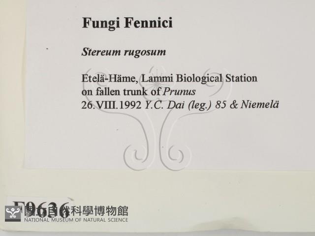 登錄號:F0009636藏品圖，第2張