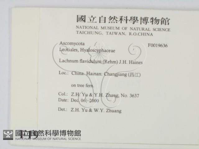 登錄號:F0019636藏品圖，第2張