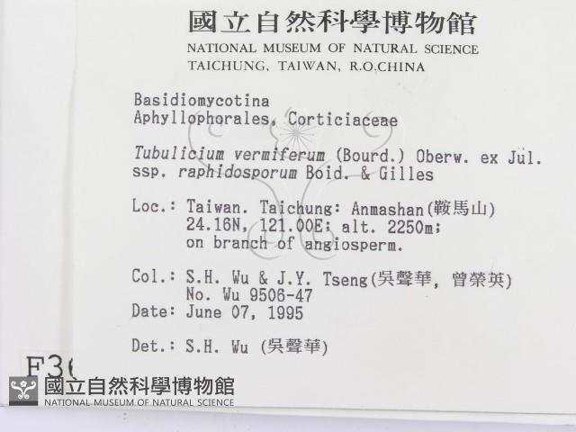 登錄號:F0003636藏品圖，第2張