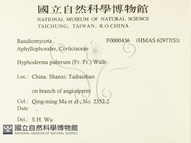 登錄號:F0000436藏品圖，第2張